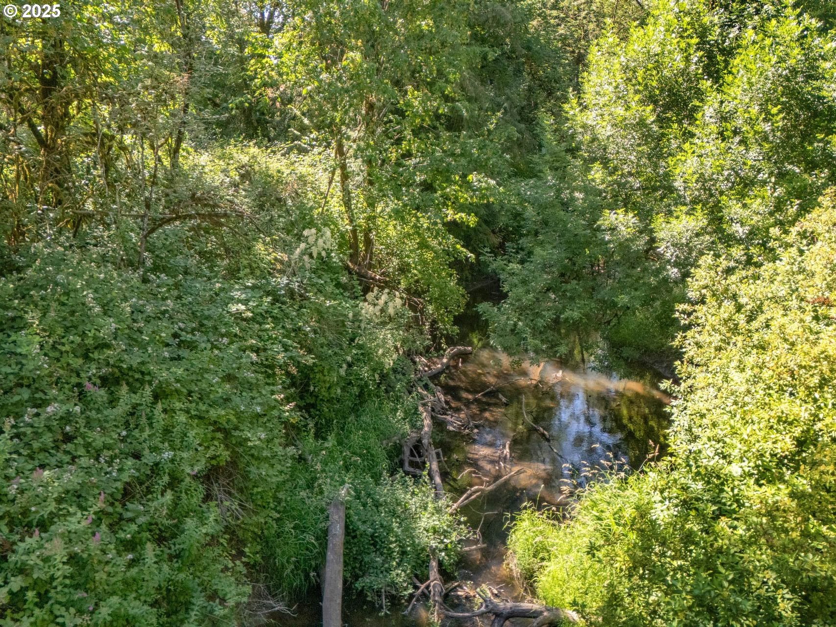 Hillsboro, Oregon, 97124, United States, 2 Bedrooms Bedrooms, ,1 BathroomBathrooms,Residential,Active,1899210