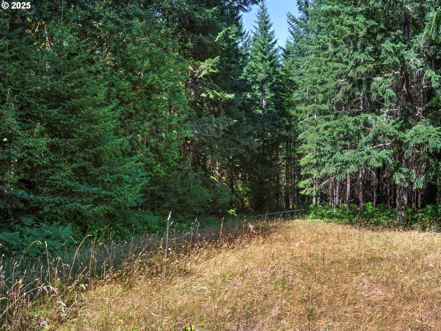 North Plains, Oregon, 97133, United States, 3 Bedrooms Bedrooms, ,3 BathroomsBathrooms,Residential,Active,1922324