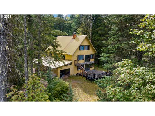 WILDERNESS DR, COUGAR, WA 98616 - Image 1