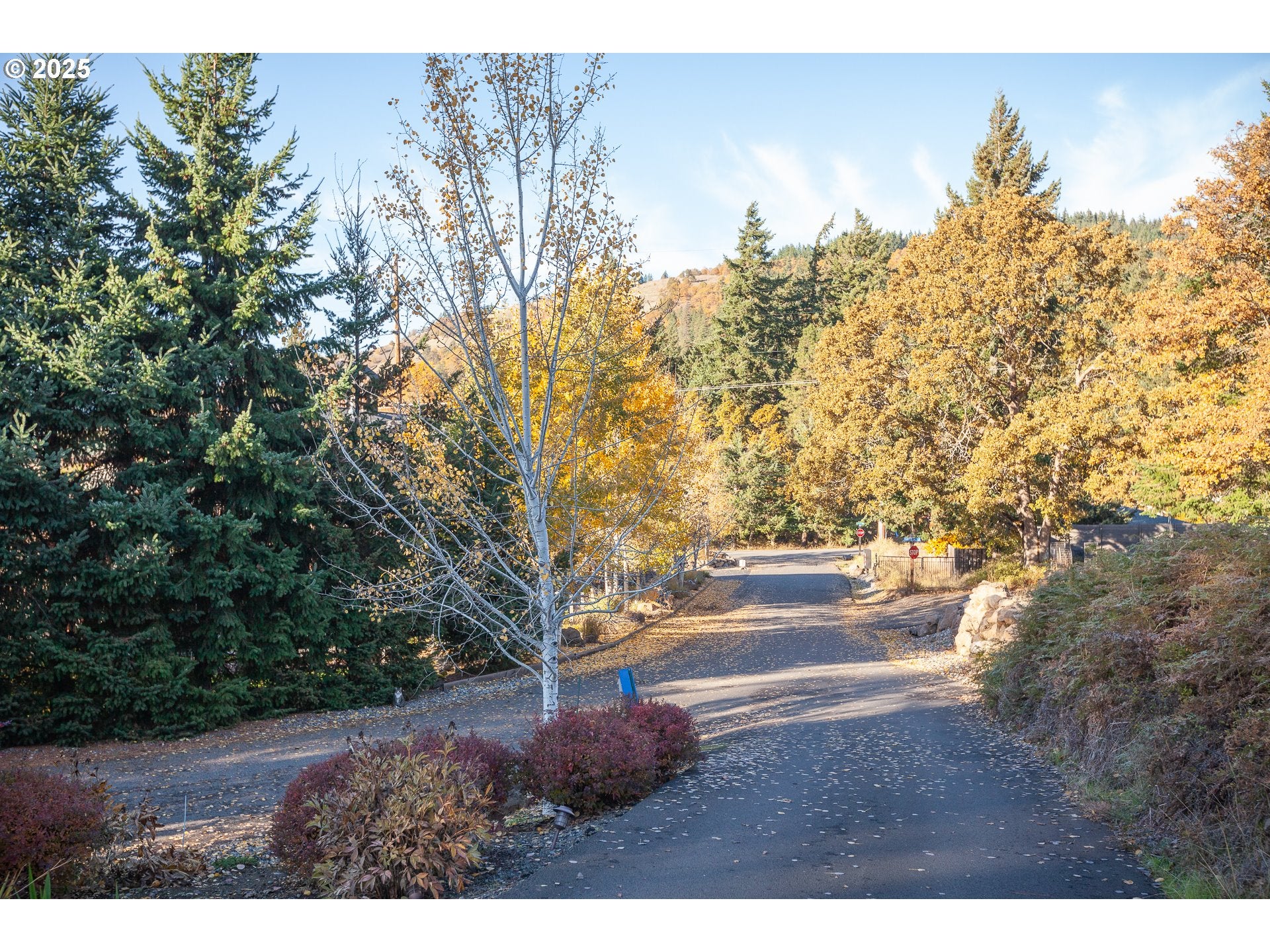 White Salmon, Washington, 98672, United States, 3 Bedrooms Bedrooms, ,3 BathroomsBathrooms,Residential,Active,2006771