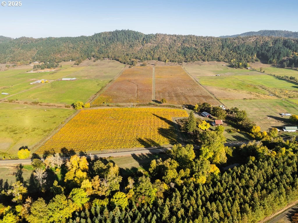 Roseburg, Oregon, 97471, United States, 3 Bedrooms Bedrooms, ,2 BathroomsBathrooms,Residential,Active,1989759