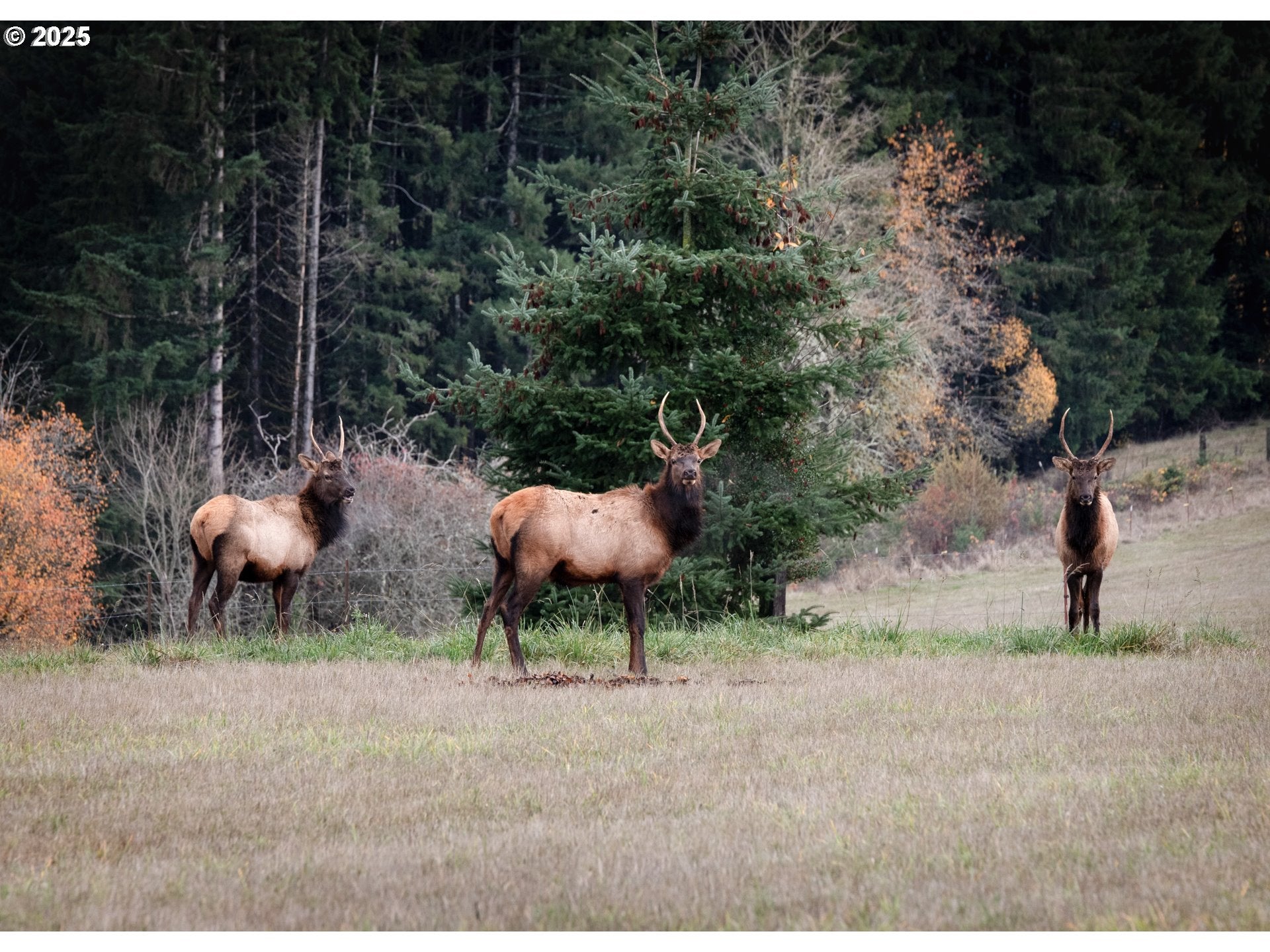 St. Helens, Oregon, 97051, United States, ,4 BathroomsBathrooms,Residential,Active,1888504