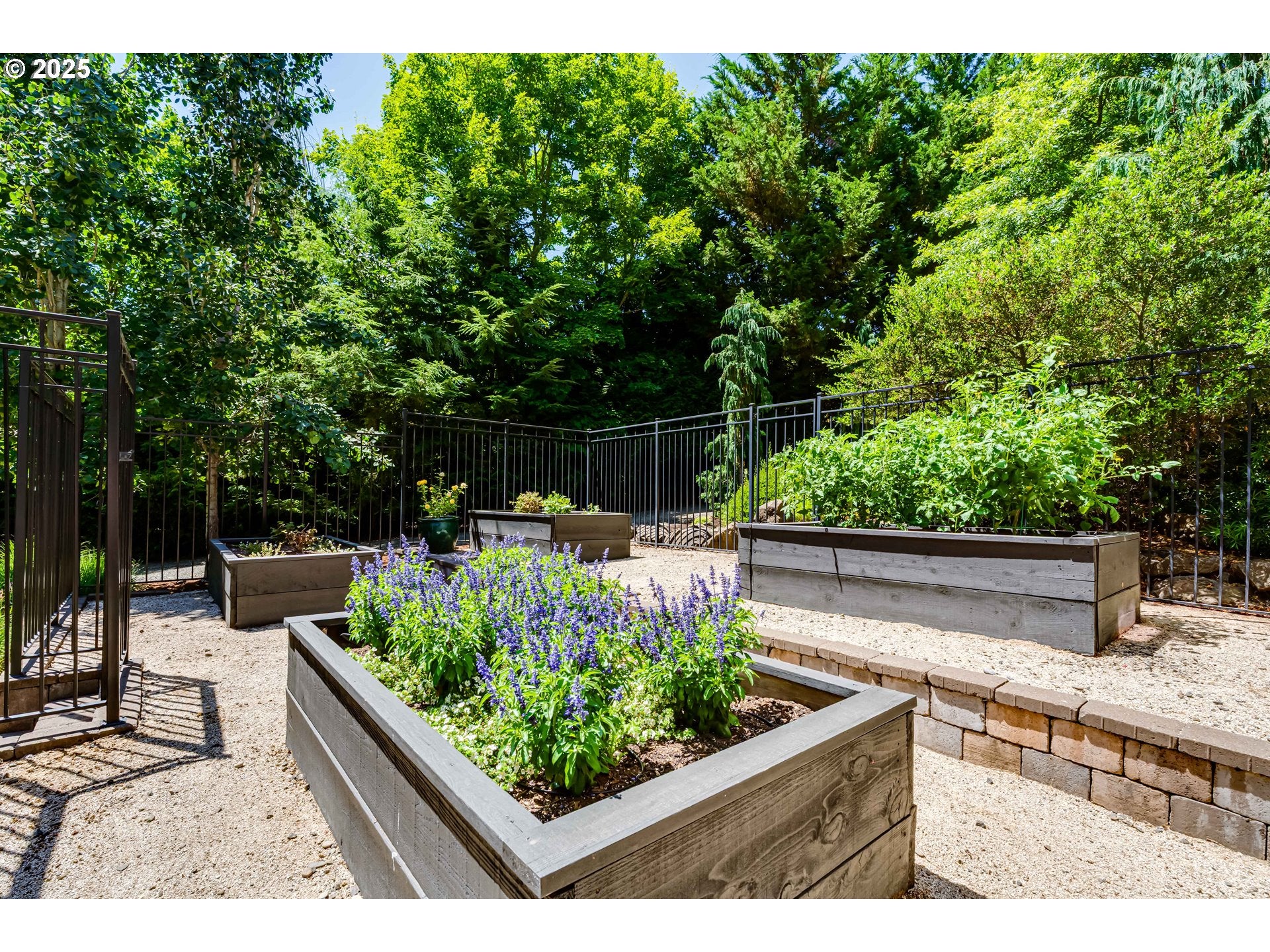Eugene, Oregon, 97405, United States, ,5 BathroomsBathrooms,Residential,Active,1899898