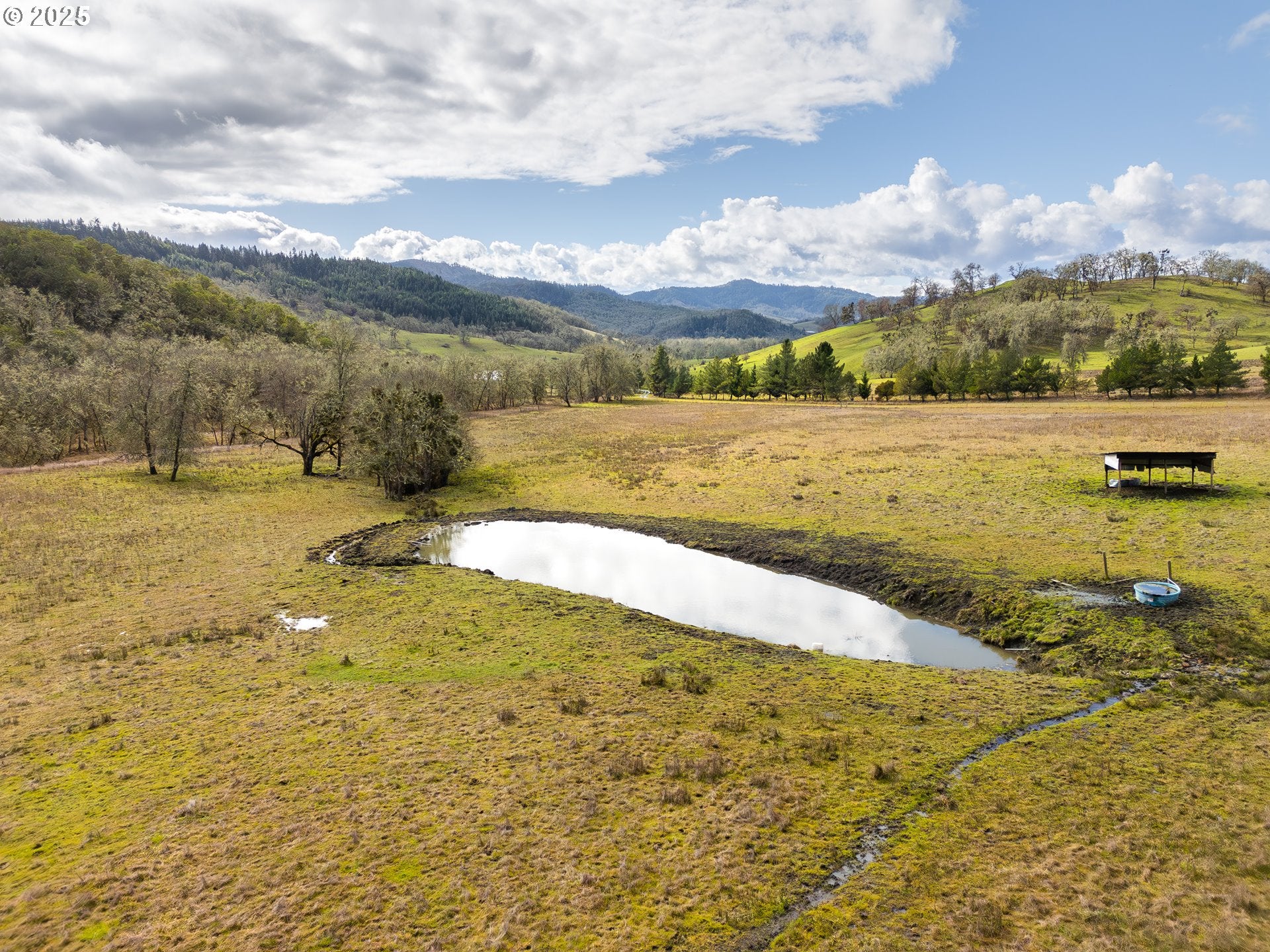 Roseburg, Oregon, 97470, United States, 4 Bedrooms Bedrooms, ,3 BathroomsBathrooms,Residential,Active,1701656