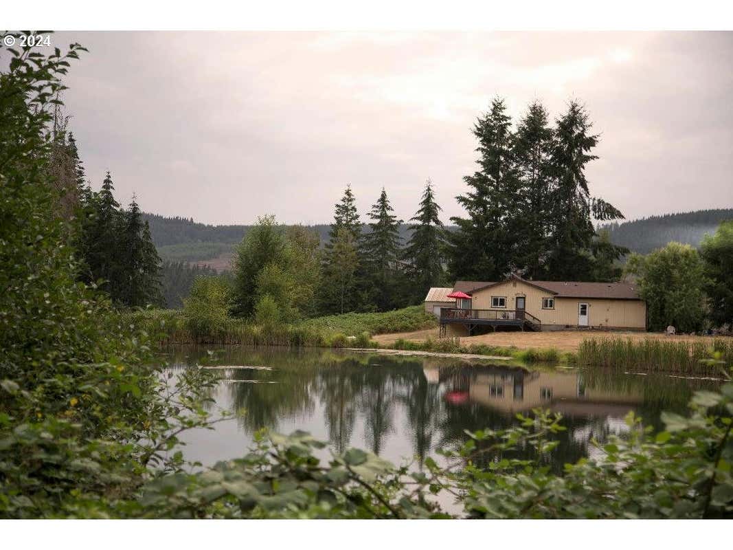 3804 BRIAR KNOB LOOP NE, SCOTTS MILLS, OR 97375, photo 1 of 40