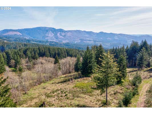 0 NE 298TH CT, CAMAS, WA 98607 - Image 1