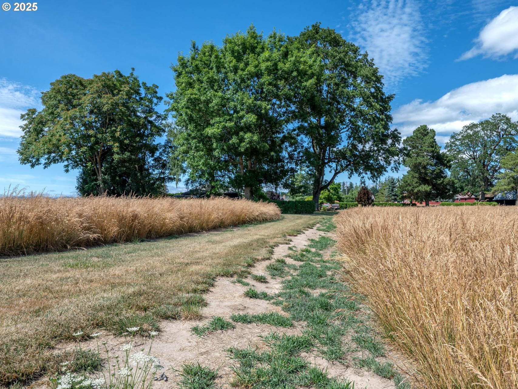 Hillsboro, Oregon, 97124, United States, 2 Bedrooms Bedrooms, ,1 BathroomBathrooms,Residential,Active,1899210
