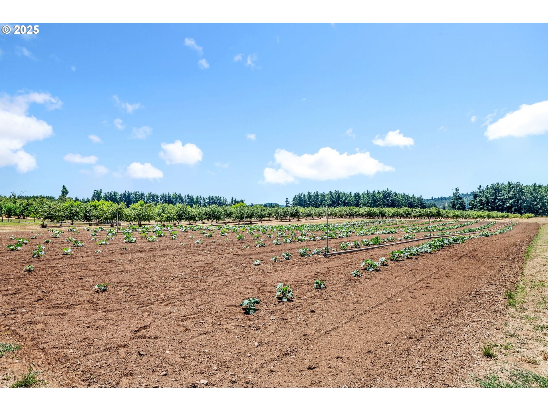 Creswell, Oregon, 97426, United States, 3 Bedrooms Bedrooms, ,3 BathroomsBathrooms,Residential,Active,1888984