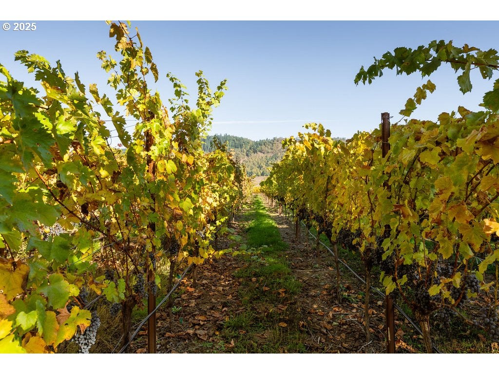 Roseburg, Oregon, 97471, United States, 3 Bedrooms Bedrooms, ,2 BathroomsBathrooms,Residential,Active,1989759