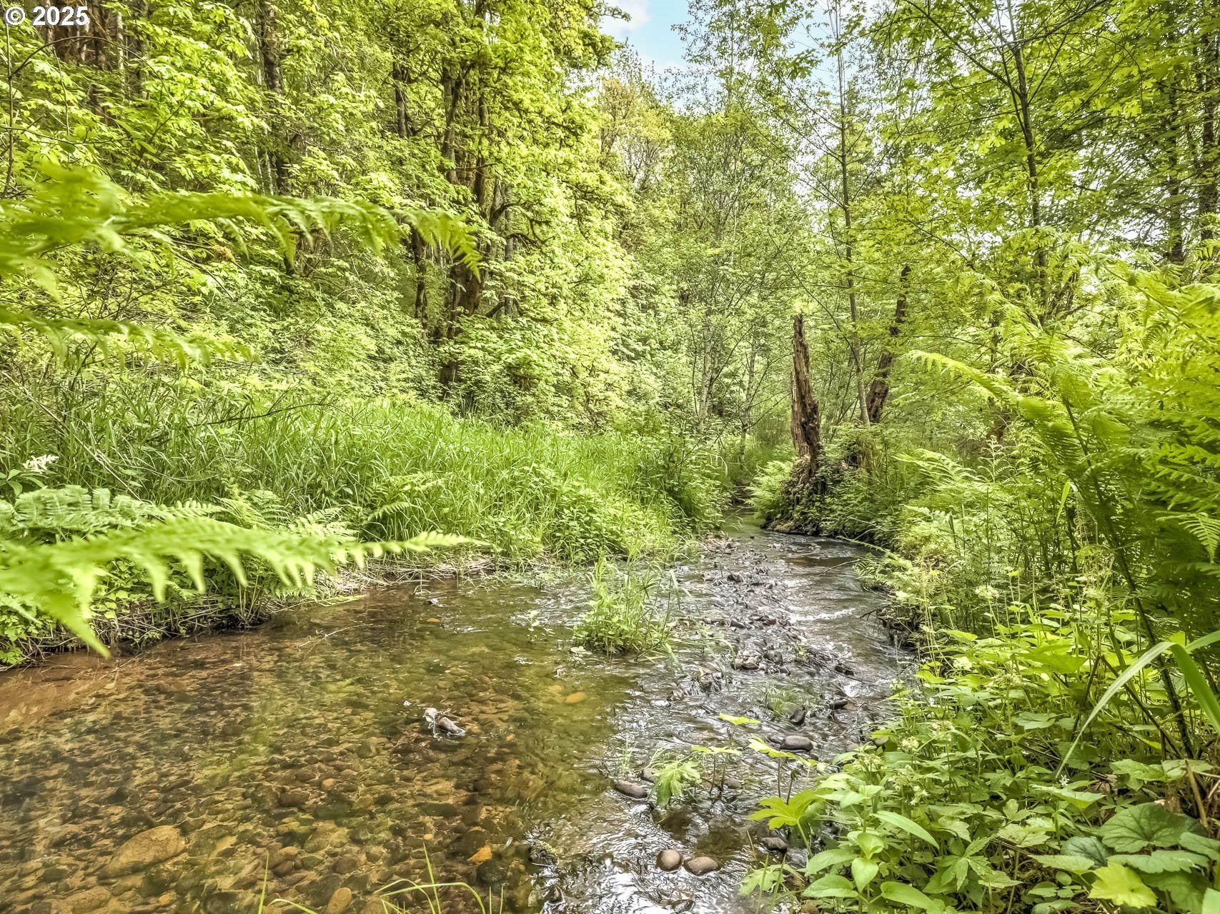 Banks, Oregon, 97106, United States, 3 Bedrooms Bedrooms, ,2 BathroomsBathrooms,Residential,Active,1726926