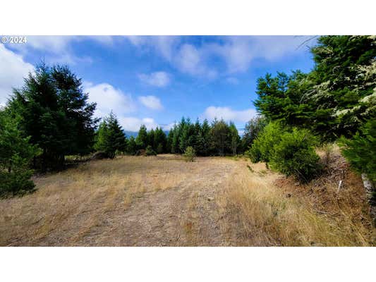 LAUREL BUTTE DR, OAKRIDGE, OR 97463 - Image 1