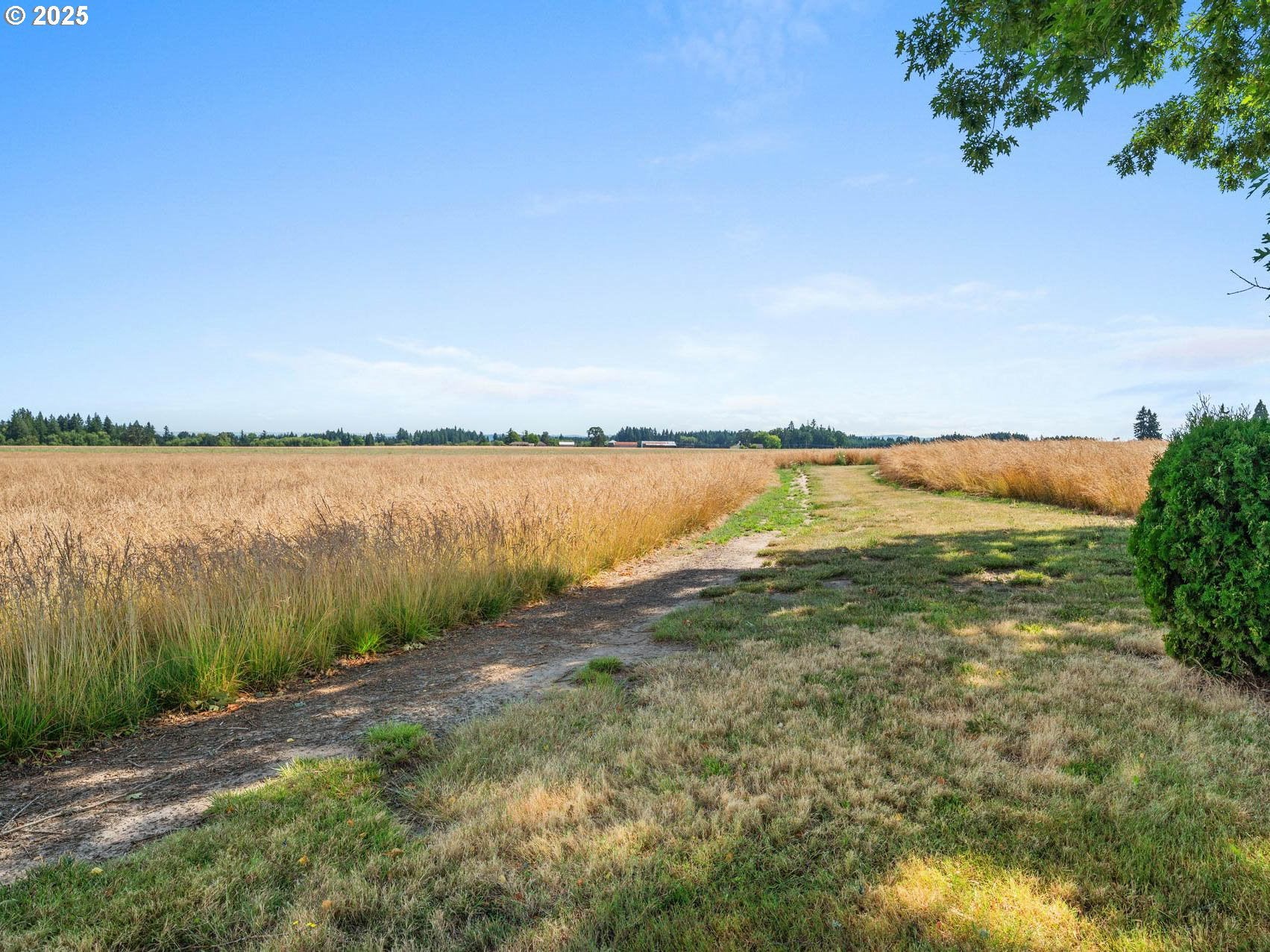 Hillsboro, Oregon, 97124, United States, 2 Bedrooms Bedrooms, ,1 BathroomBathrooms,Residential,Active,1899210