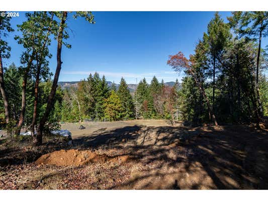 BERRY CREEK RD, WINSTON, OR 97496 - Image 1