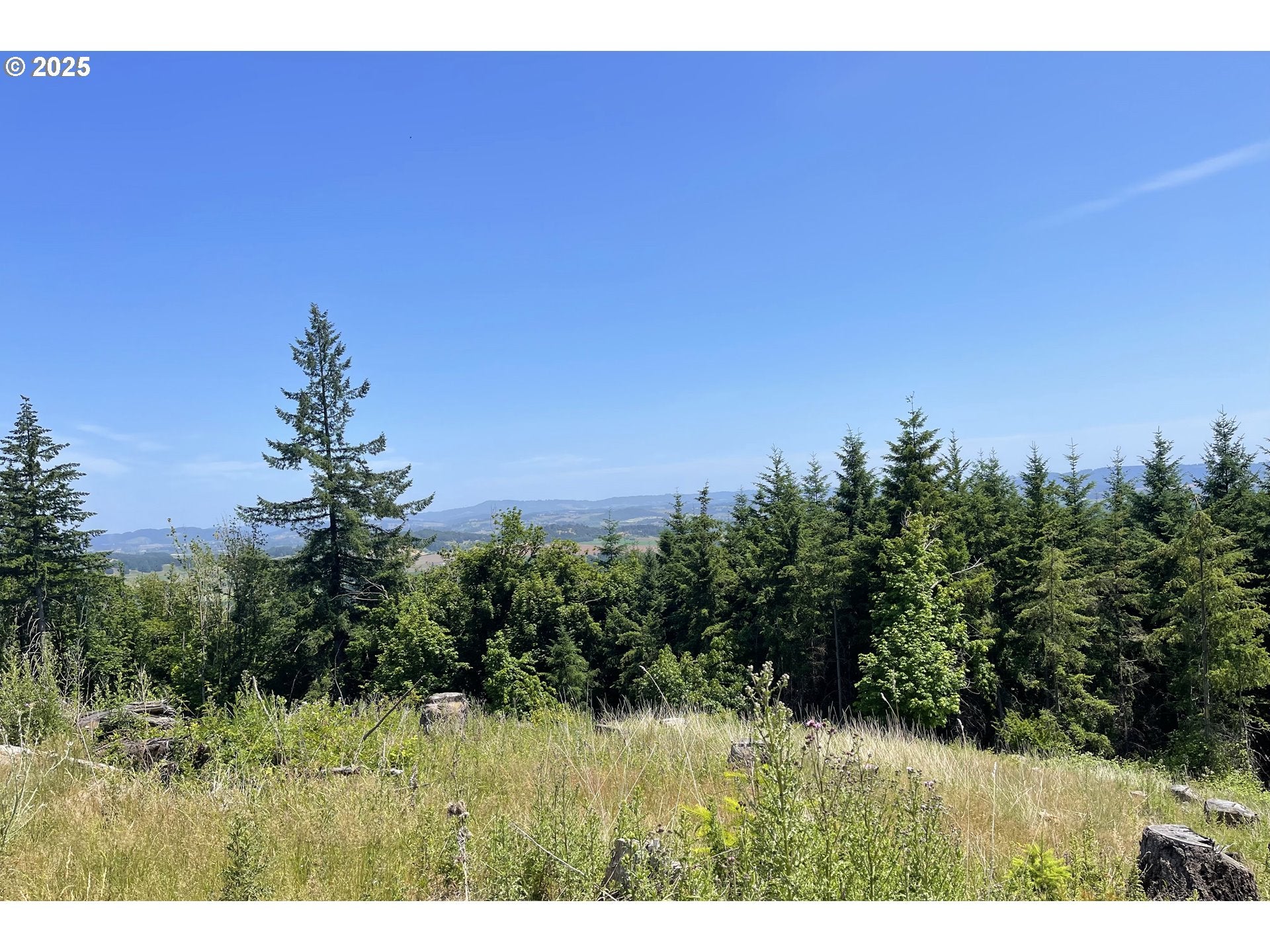 Mcminnville, Oregon, 97128, United States, 4 Bedrooms Bedrooms, ,3 BathroomsBathrooms,Residential,Active,1853796