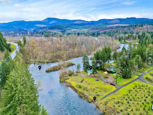 40474 SHORELINE DR, LYONS, OR 97358 - Image 1