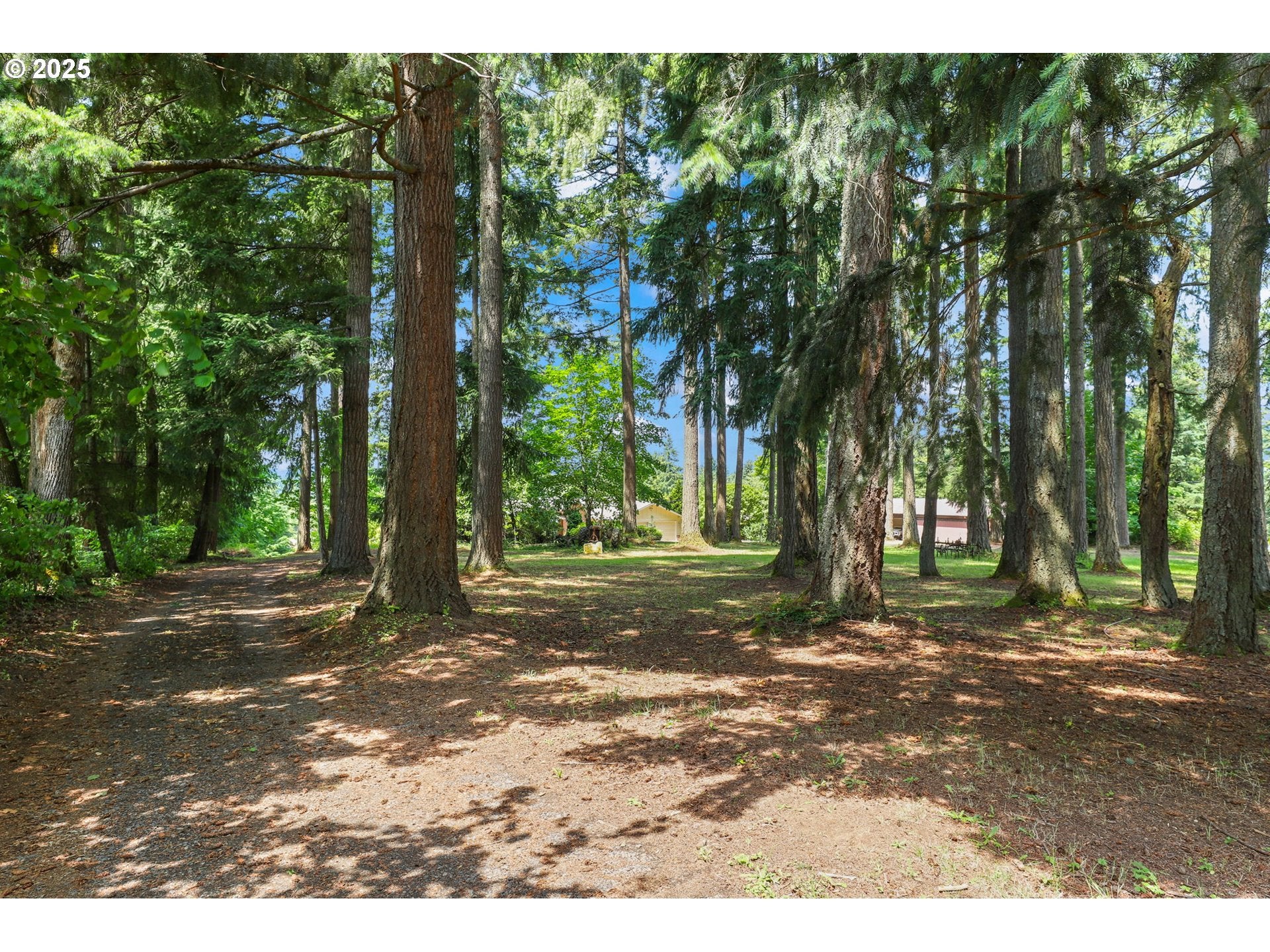 Boring, Oregon, 97009, United States, 5 Bedrooms Bedrooms, ,3 BathroomsBathrooms,Residential,Active,1869138