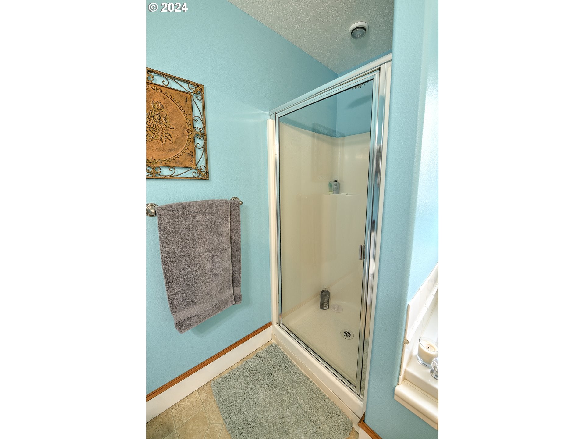 Camas, Washington, 98607, United States, ,2 BathroomsBathrooms,Residential,Active,1703306