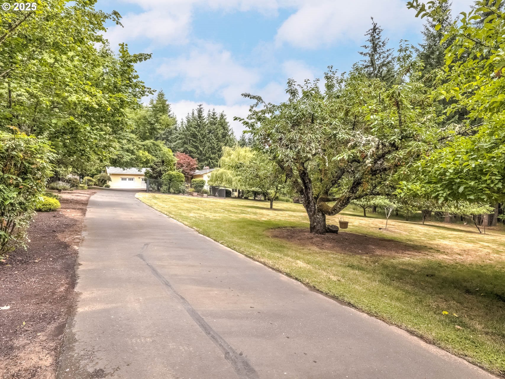 Cornelius, Oregon, 97113, United States, 3 Bedrooms Bedrooms, ,3 BathroomsBathrooms,Residential,Active,1877848