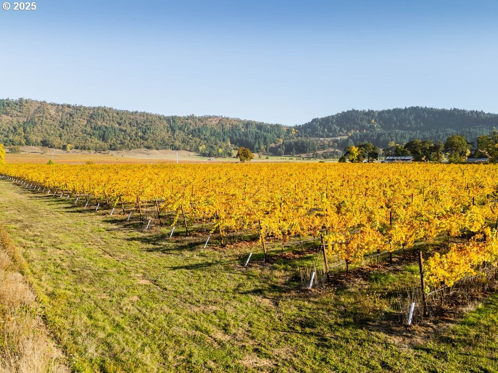 Roseburg, Oregon, 97471, United States, 3 Bedrooms Bedrooms, ,2 BathroomsBathrooms,Residential,Active,1989759