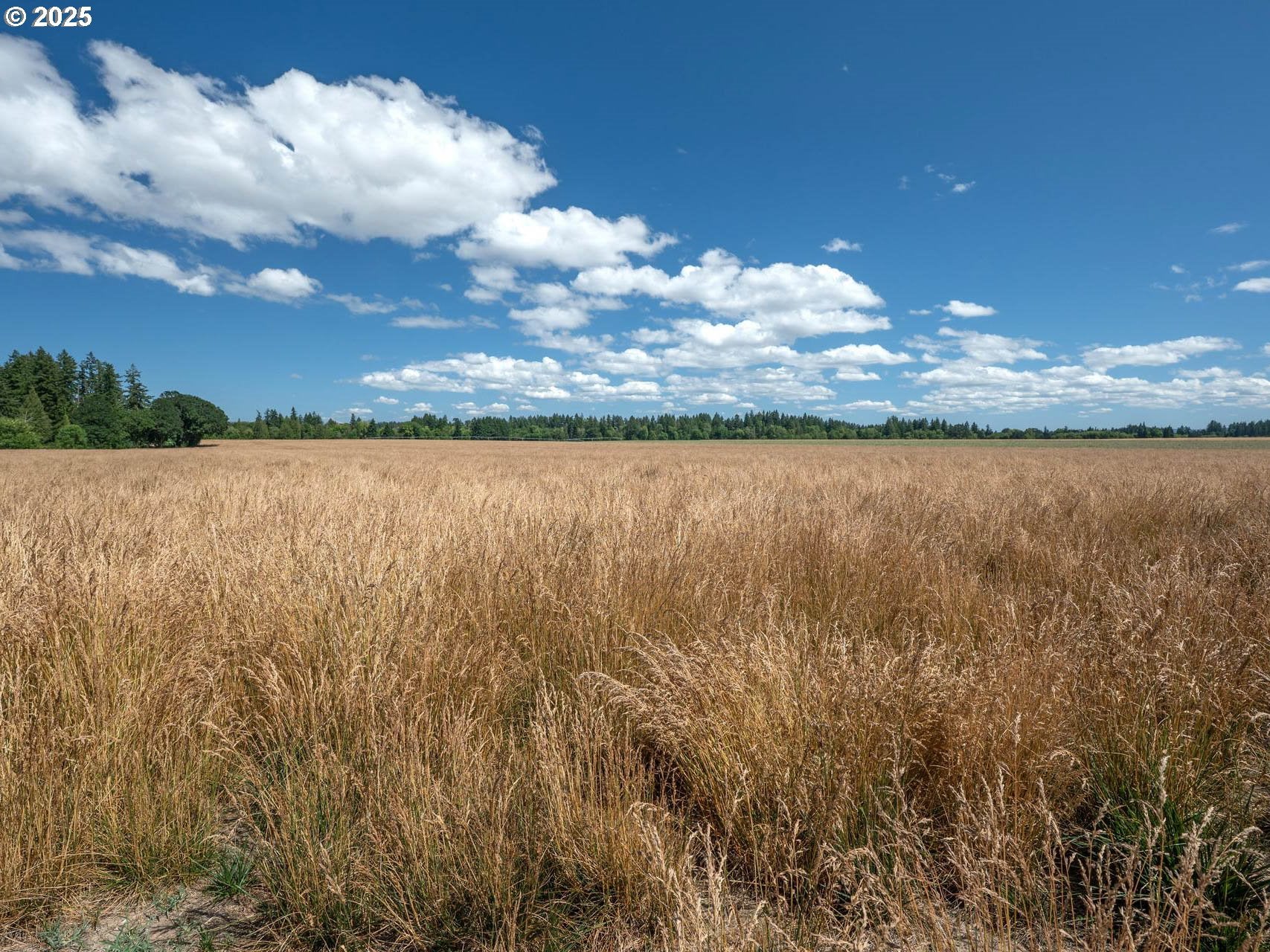 Hillsboro, Oregon, 97124, United States, 2 Bedrooms Bedrooms, ,1 BathroomBathrooms,Residential,Active,1899210