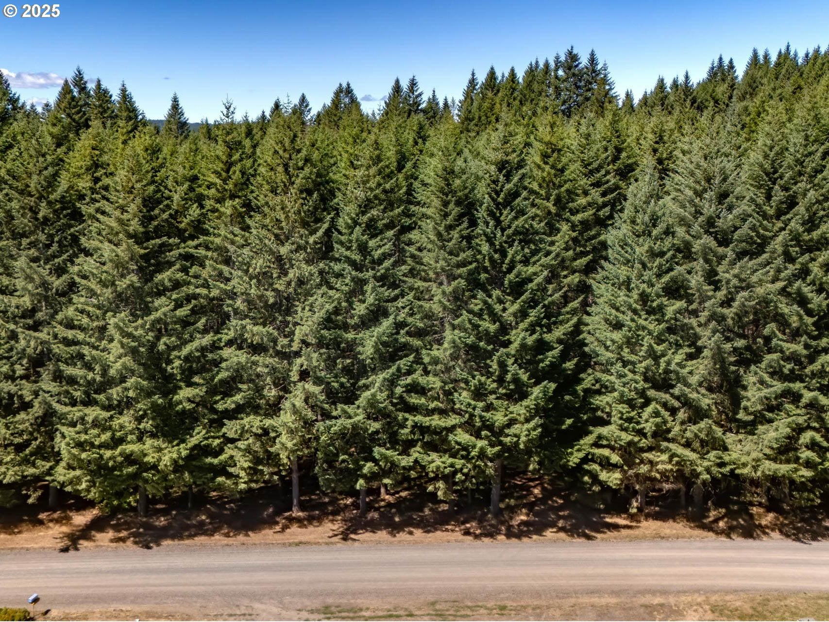 North Plains, Oregon, 97133, United States, 3 Bedrooms Bedrooms, ,3 BathroomsBathrooms,Residential,Active,1922324