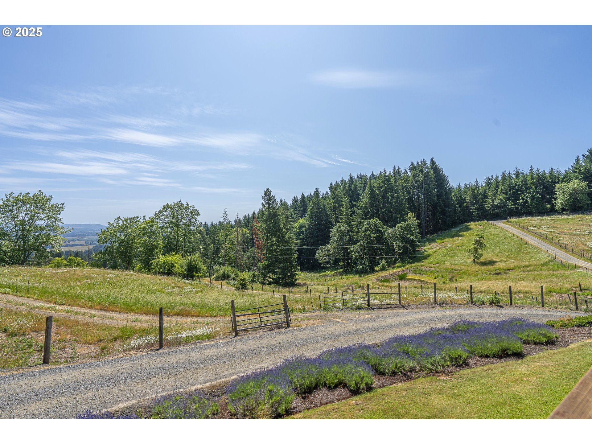 Mcminnville, Oregon, 97128, United States, 4 Bedrooms Bedrooms, ,3 BathroomsBathrooms,Residential,Active,1853796