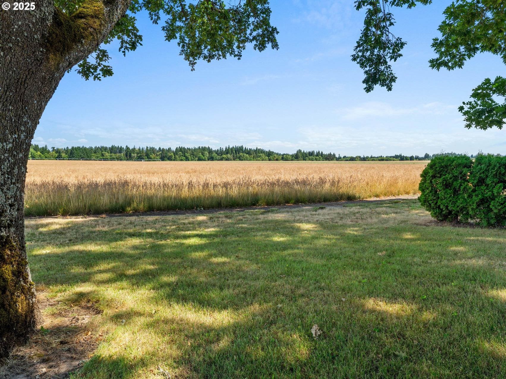 Hillsboro, Oregon, 97124, United States, 2 Bedrooms Bedrooms, ,1 BathroomBathrooms,Residential,Active,1899210