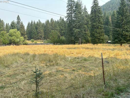 MEADOW LANE, JOSEPH, OR 97846 - Image 1