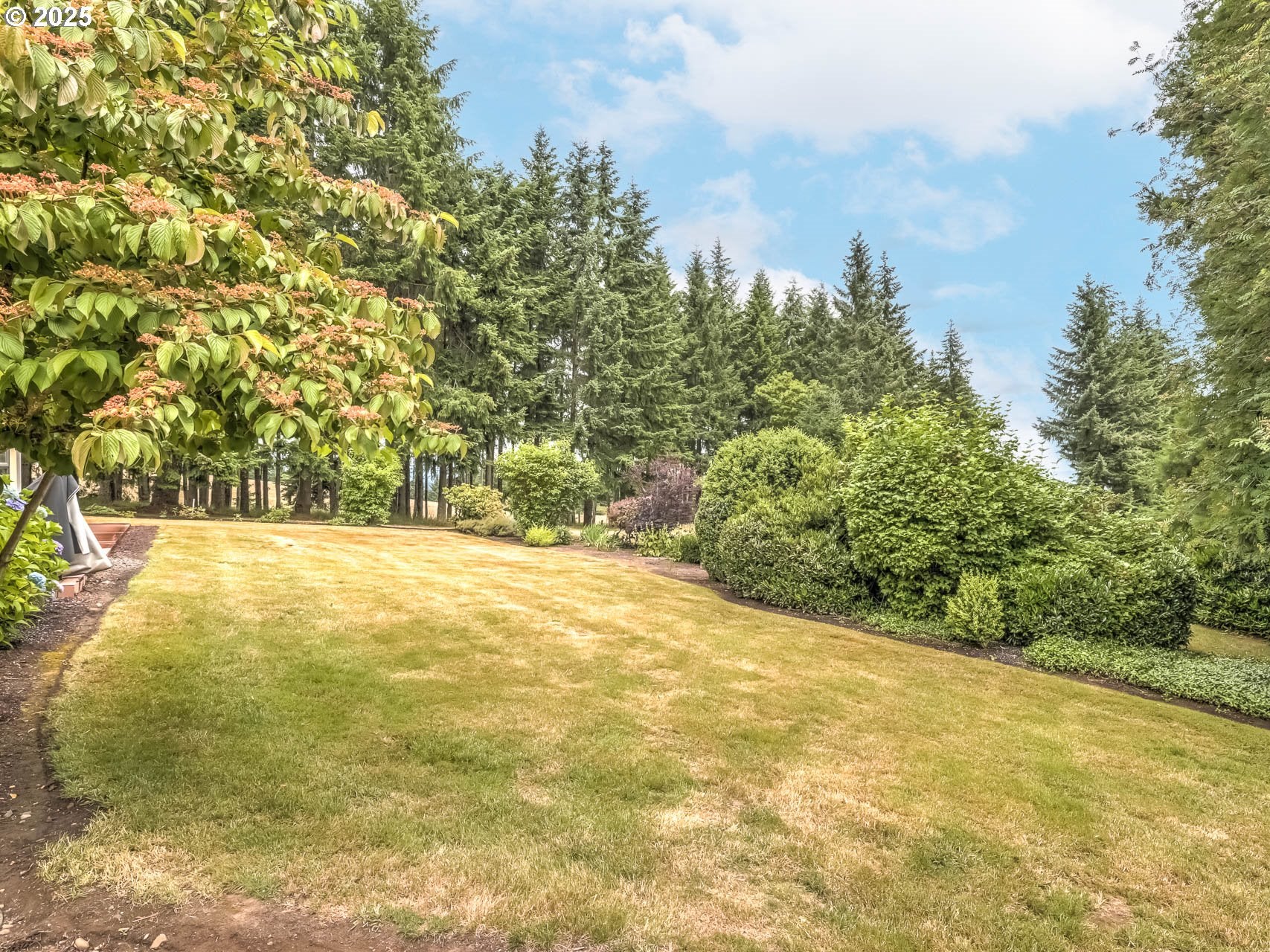 Cornelius, Oregon, 97113, United States, 3 Bedrooms Bedrooms, ,3 BathroomsBathrooms,Residential,Active,1877848