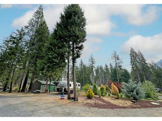 54432 MCKENZIE HWY # 37, BLUE RIVER, OR 97413 - Image 1