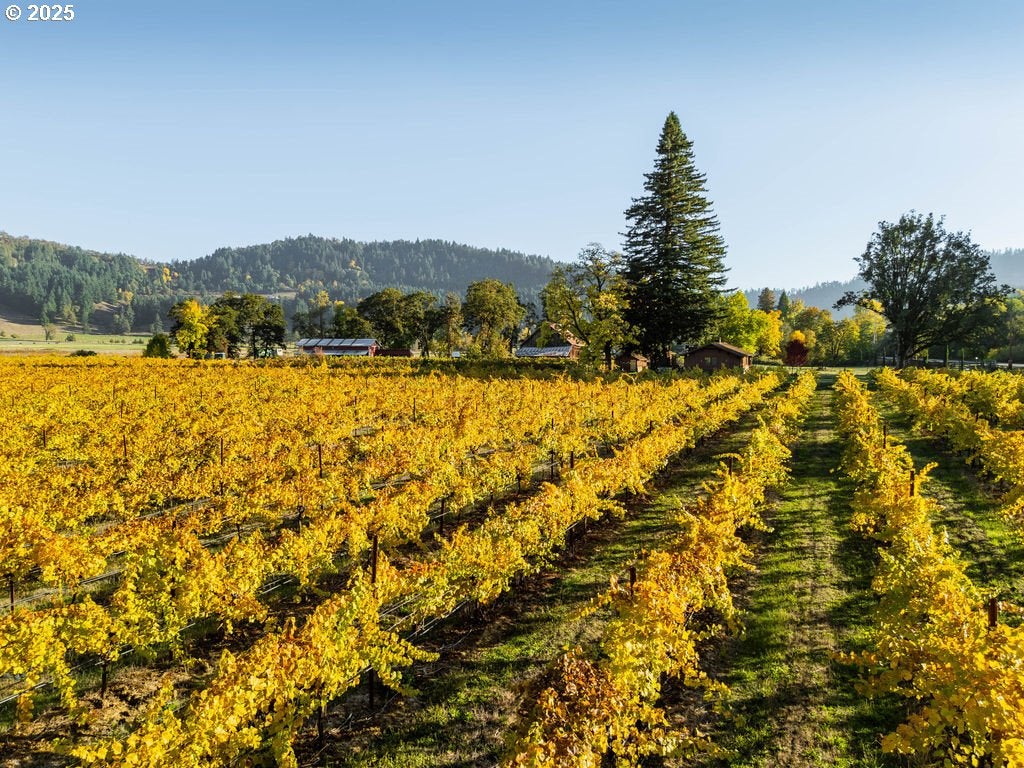 Roseburg, Oregon, 97471, United States, 3 Bedrooms Bedrooms, ,2 BathroomsBathrooms,Residential,Active,1989759