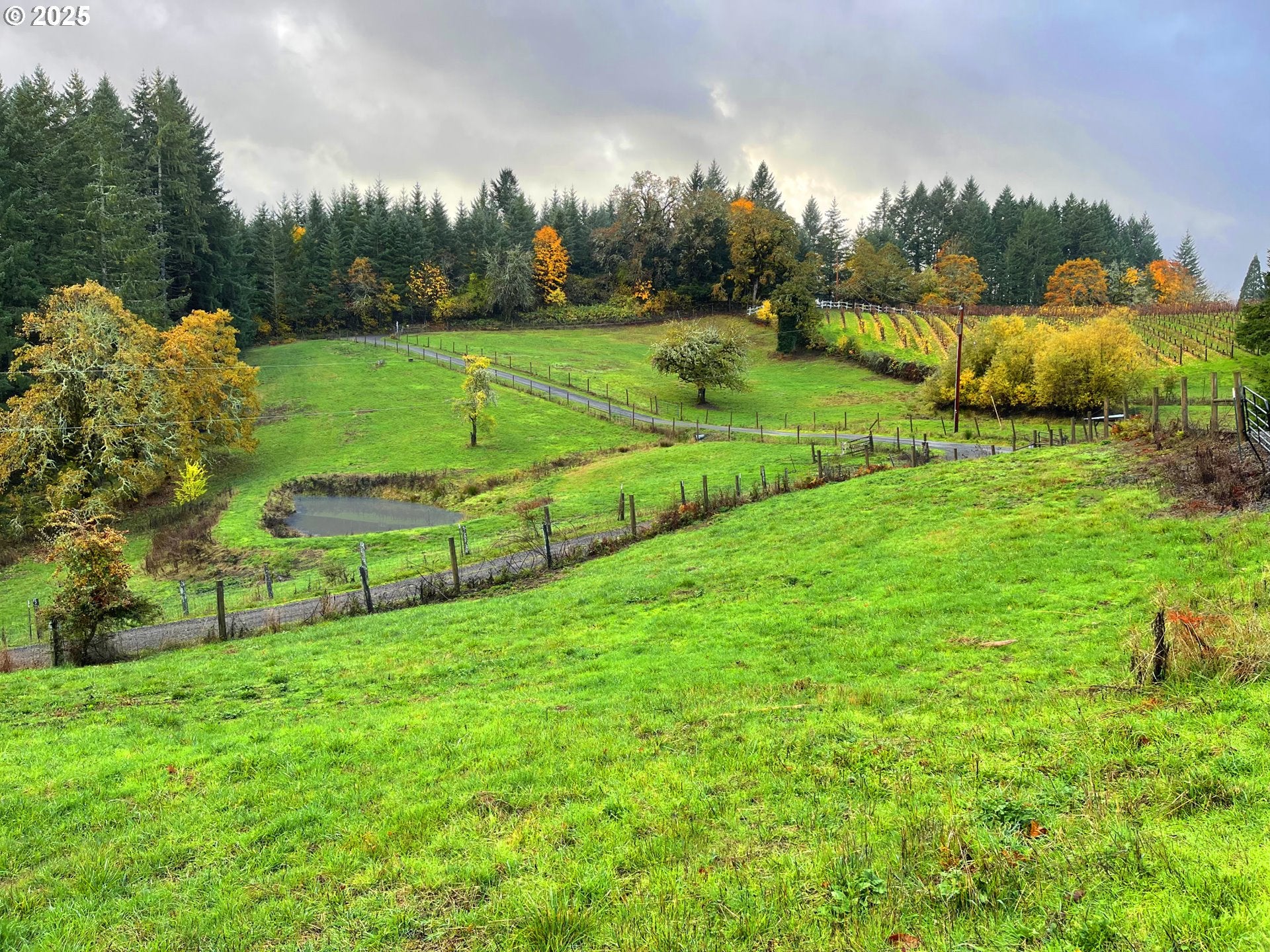 Mcminnville, Oregon, 97128, United States, 4 Bedrooms Bedrooms, ,3 BathroomsBathrooms,Residential,Active,1853796