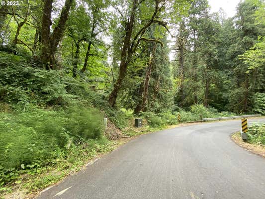 43108 E HAINES RD, CORBETT, OR 97019 - Image 1