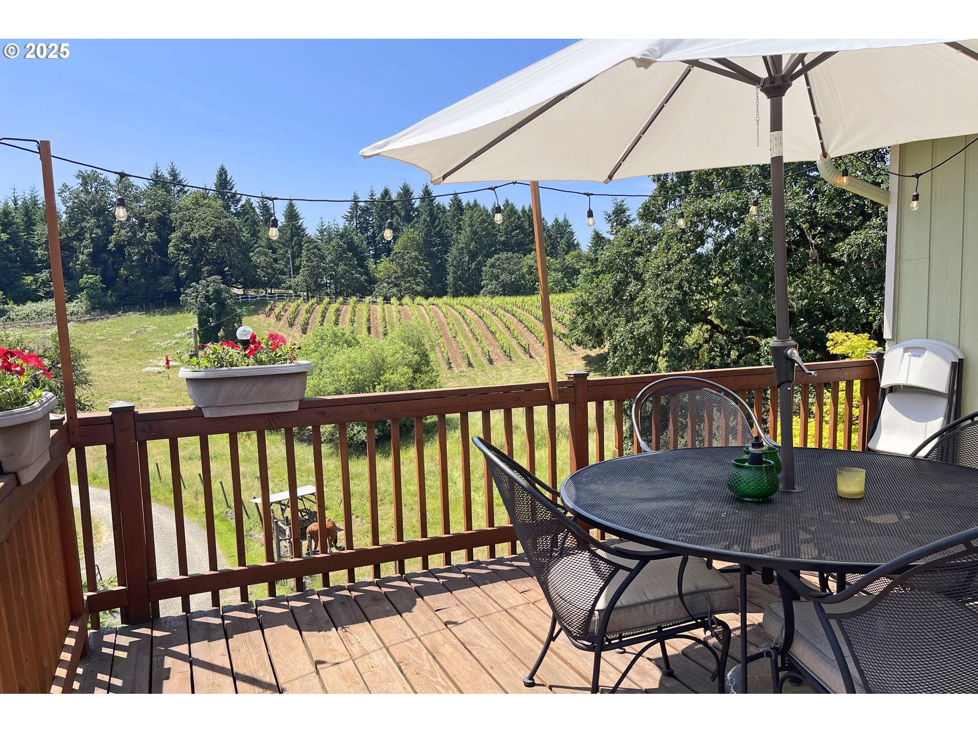 Mcminnville, Oregon, 97128, United States, 4 Bedrooms Bedrooms, ,3 BathroomsBathrooms,Residential,Active,1853796