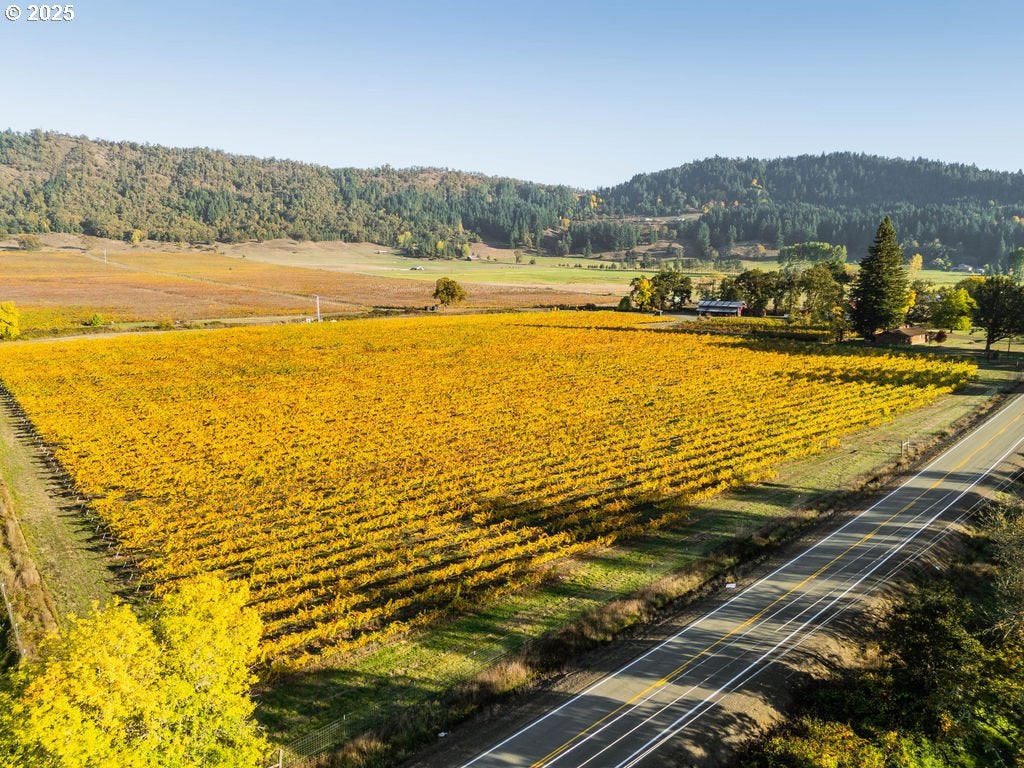 Roseburg, Oregon, 97471, United States, 3 Bedrooms Bedrooms, ,2 BathroomsBathrooms,Residential,Active,1989759