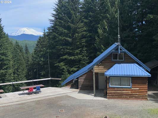 30 MT HOOD DR, COUGAR, WA 98616 - Image 1