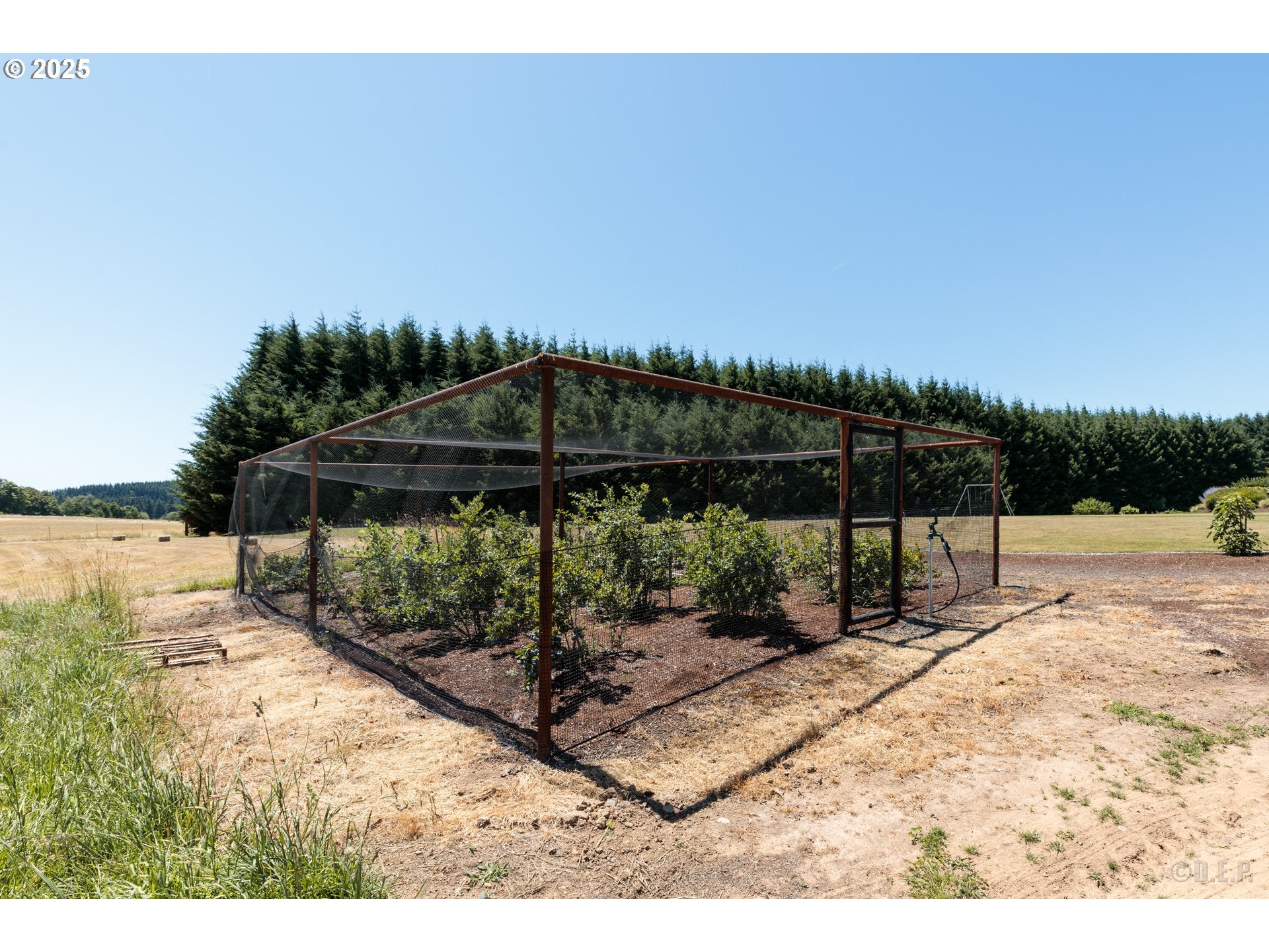 St. Helens, Oregon, 97051, United States, ,4 BathroomsBathrooms,Residential,Active,1888504