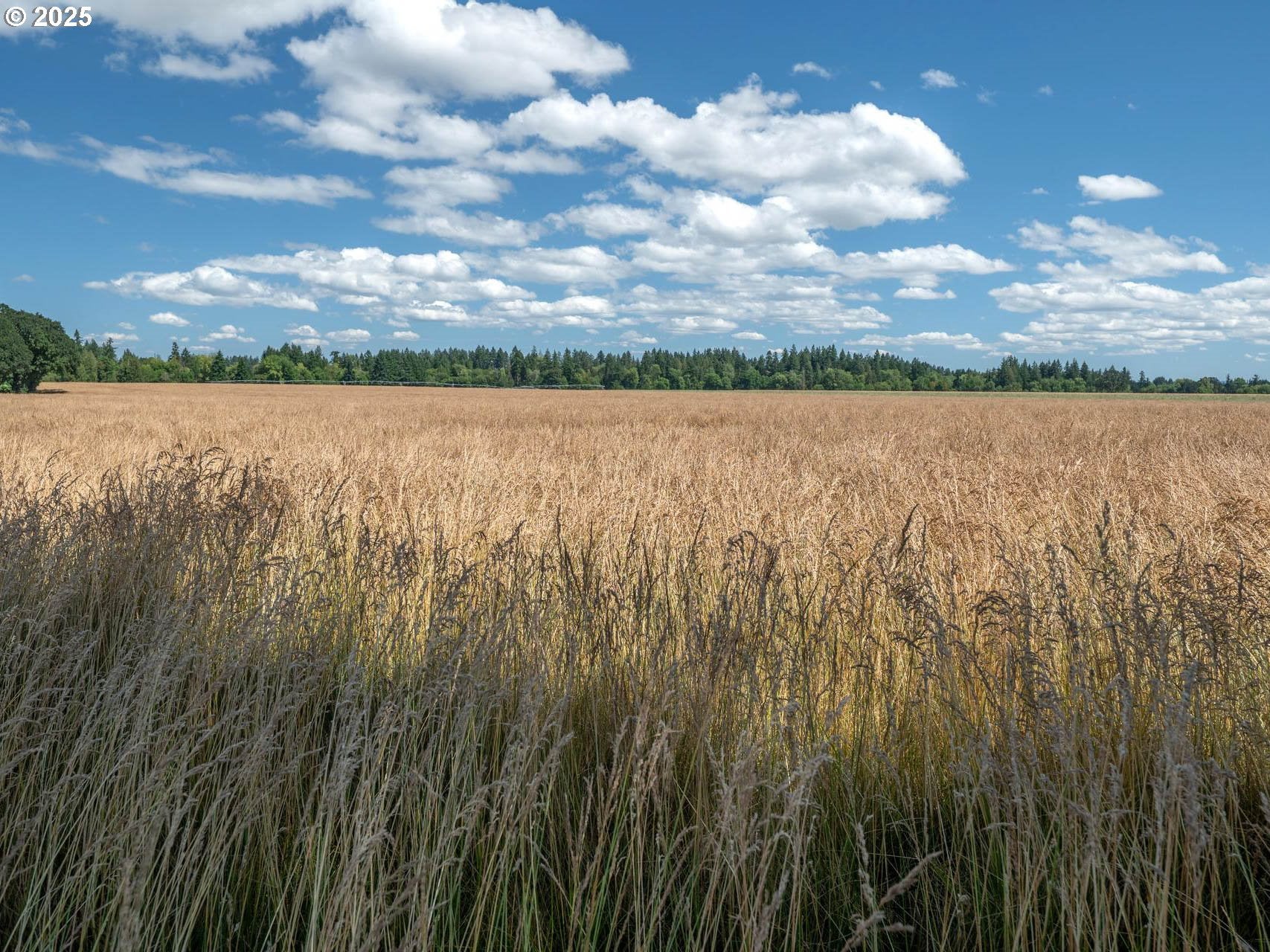 Hillsboro, Oregon, 97124, United States, 2 Bedrooms Bedrooms, ,1 BathroomBathrooms,Residential,Active,1899210