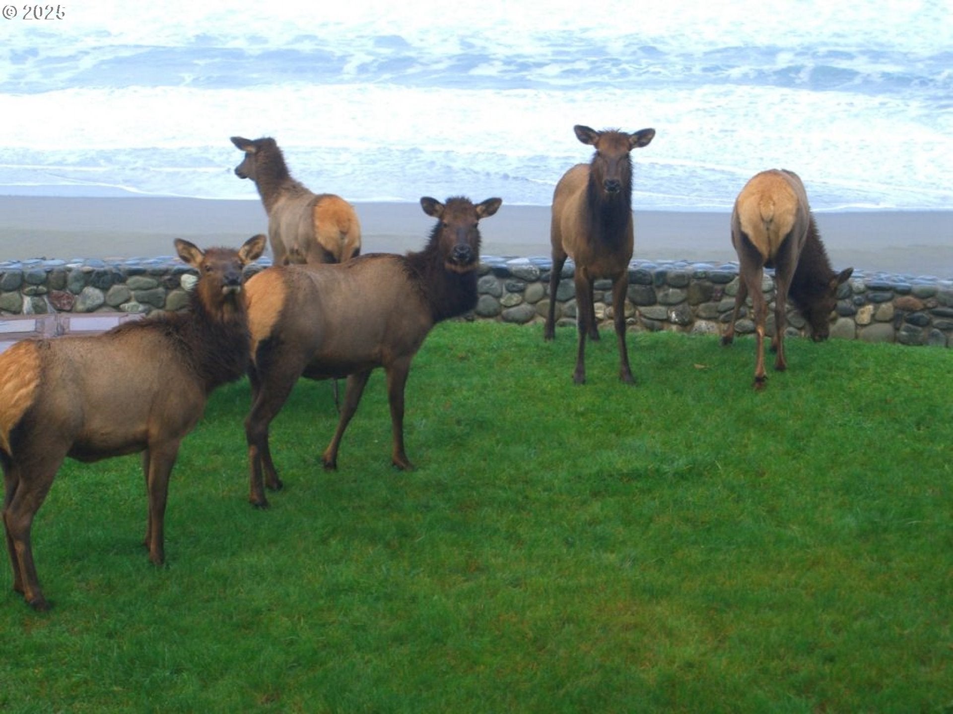 Gold Beach, Oregon, 97444, United States, 4 Bedrooms Bedrooms, ,5 BathroomsBathrooms,Residential,Active,2012238
