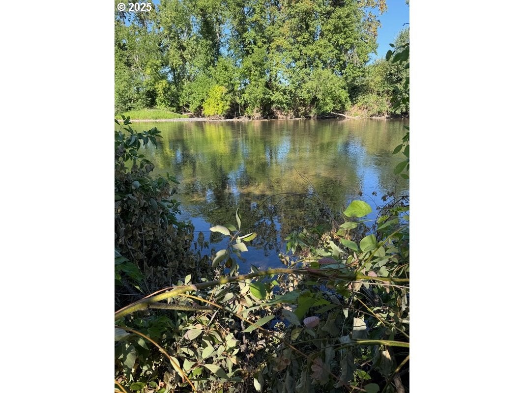 Creswell, Oregon, 97426, United States, 3 Bedrooms Bedrooms, ,3 BathroomsBathrooms,Residential,Active,1888984