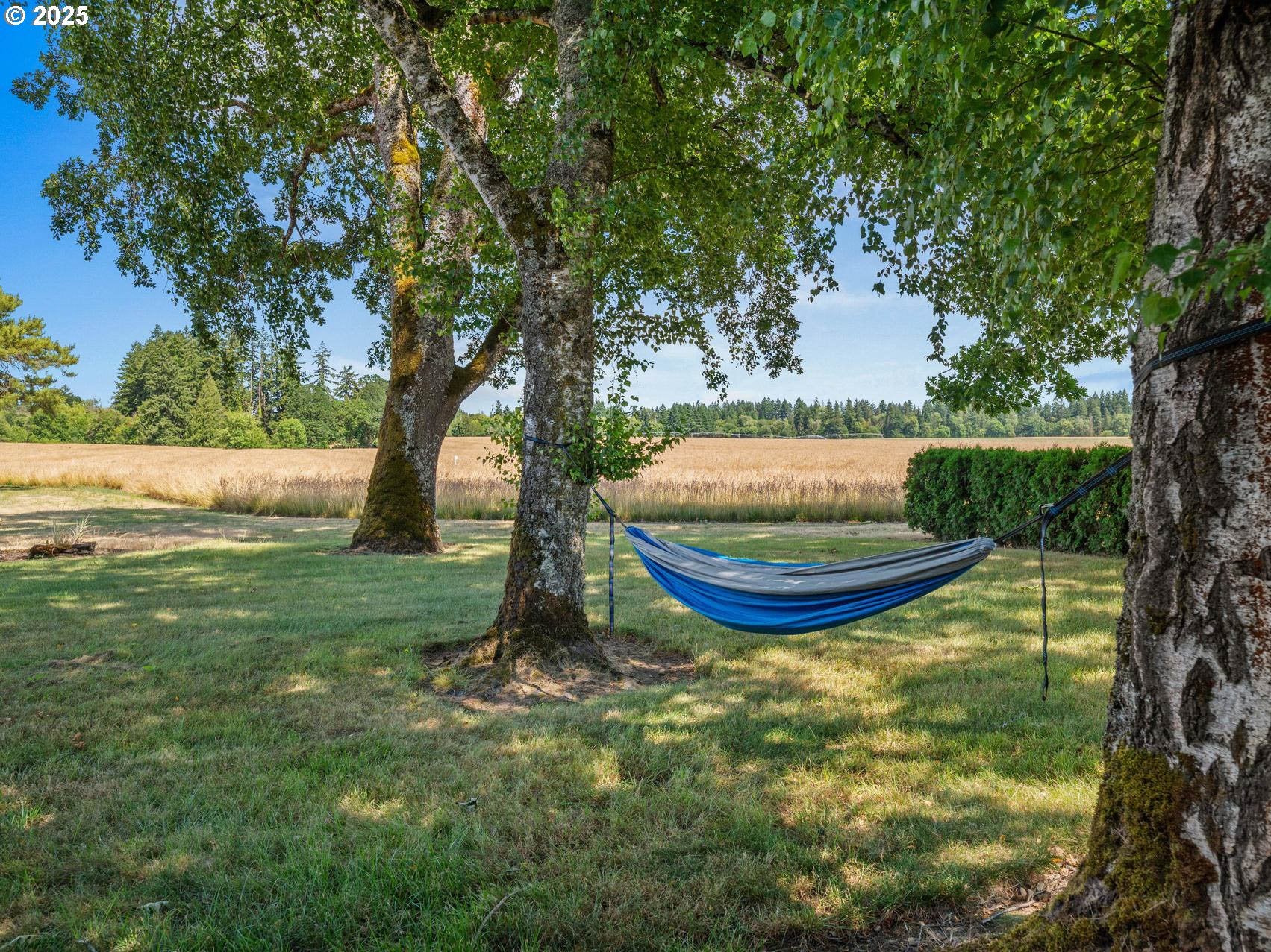 Hillsboro, Oregon, 97124, United States, 2 Bedrooms Bedrooms, ,1 BathroomBathrooms,Residential,Active,1899210