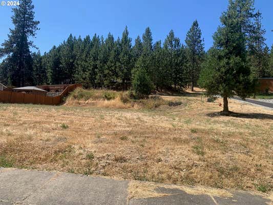 123 DEER SONG CT, CANYONVILLE, OR 97417 - Image 1