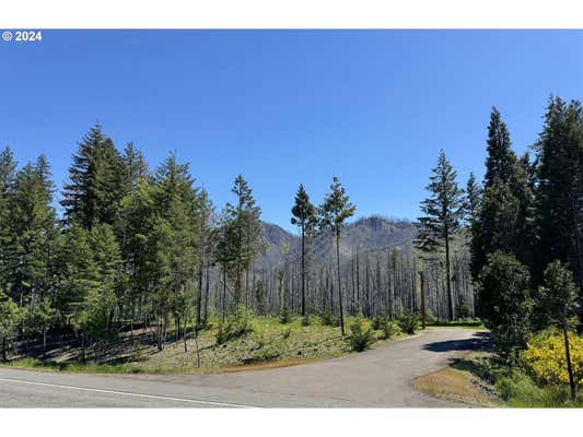 MCKENZIE HWY 900, VIDA, OR 97488 - Image 1