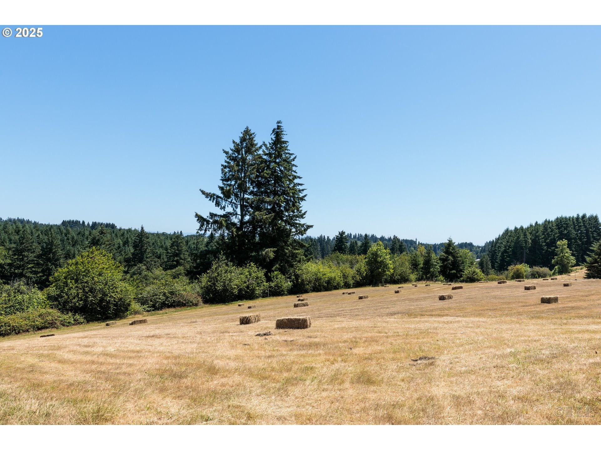 St. Helens, Oregon, 97051, United States, ,4 BathroomsBathrooms,Residential,Active,1888504