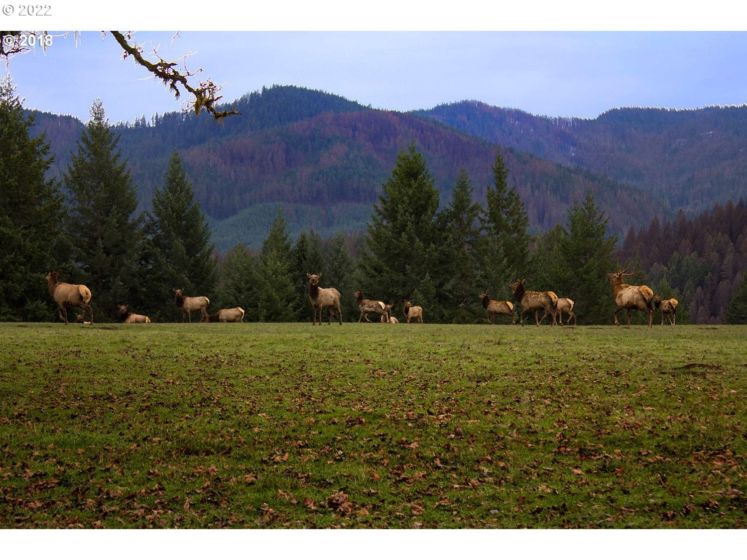 Idleyld Park, Oregon, 97447, United States, ,Residential,Active,1704814