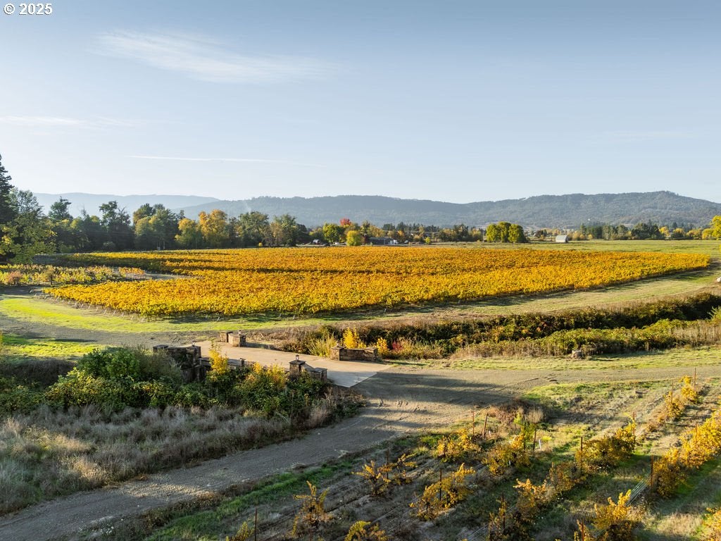 Roseburg, Oregon, 97471, United States, 3 Bedrooms Bedrooms, ,2 BathroomsBathrooms,Residential,Active,1989759