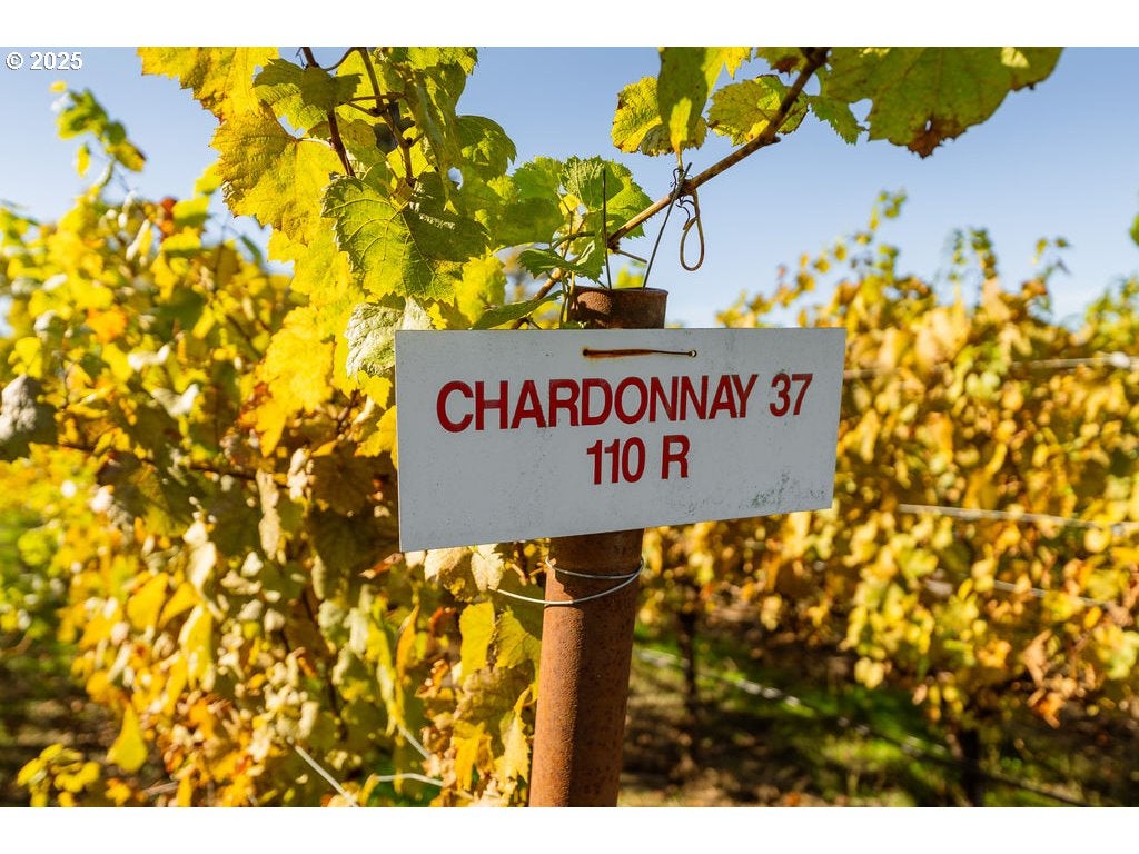 Roseburg, Oregon, 97471, United States, 3 Bedrooms Bedrooms, ,2 BathroomsBathrooms,Residential,Active,1989759