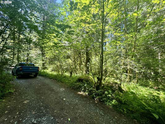 E SECTION LINE RD, RHODODENDRON, OR 97049 - Image 1