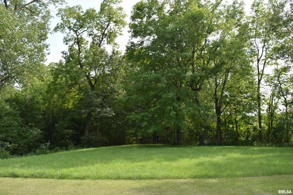 LOT 11 FAWN RIDGE LANE, MAPLETON, IL 61547 - Image 1