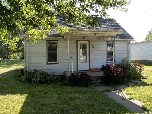 209 CENTRAL AVE, SAINT DAVID, IL 61563 - Image 1